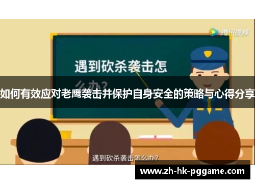 如何有效应对老鹰袭击并保护自身安全的策略与心得分享