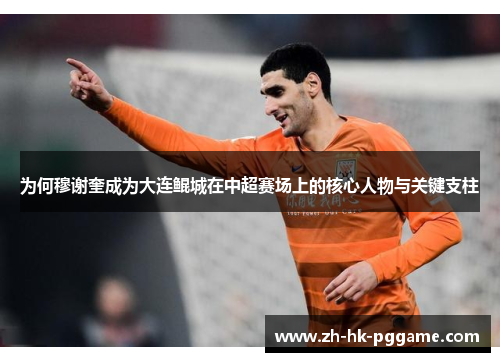 为何穆谢奎成为大连鲲城在中超赛场上的核心人物与关键支柱