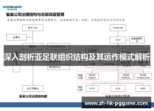深入剖析亚足联组织结构及其运作模式解析