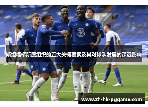 斯坦福桥所属组织的五大关键要素及其对球队发展的深远影响