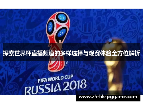 探索世界杯直播频道的多样选择与观赛体验全方位解析